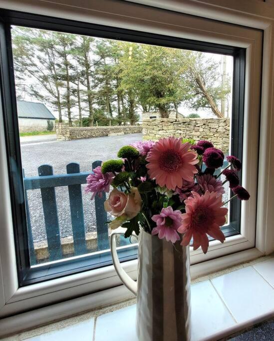 Killawalla Cottage, Westport. Екстер'єр фото